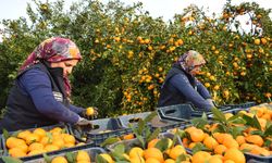 HBB ile Üretici Kazandı, Öğrenciler Sevindi!