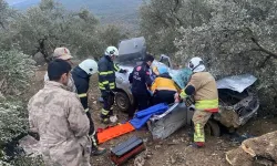Otomobil zeytinliğe uçtu: 1 yaralı
