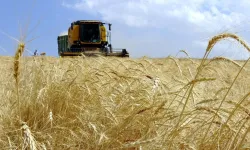 İklim Değişikliği Tarımın Coğrafyasını Değiştiriyor