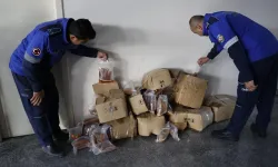 100 Kilo Küflenmiş Kabak Tatlısı İmha Edildi