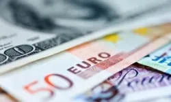 19 Şubat Dolar/TL, Euro/TL ne kadar oldu?