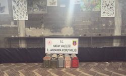 Dörtyol’da Horoz Dövüşü Operasyonu!