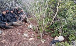 Yayladağı’nda 3 Günlük Göç Denetimi