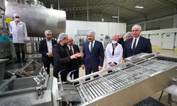 Vali Masatlı, GÜNKA Süt Tesislerini Ziyaret Etti