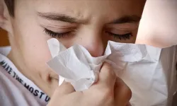 Bahar Geldi, Hapşırık Krizleri Başladı!