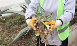 HBB’den ÜretimeKatkı Sağlayan Proje