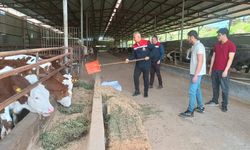 Türkmen’den Altınözü’nde Üreticiye Yakın Takip
