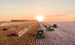 19,5 milyar liralık tarımsal destek bugün ödeniyor