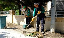 Defne’de Temizlik Seferberliği
