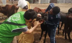 İHH’den 61 Ülkede Kurban Seferberliği