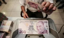 Kırsaldaki Girişimcilere 375,6 Milyon TL Destek