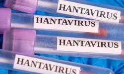 DSÖ: Hantavirüs Vakalarında Artış Durdu