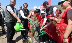 Hatay'da 1000 Fidan Toprakla Buluştu