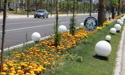 İskenderun Sahiline Çiçek Açan Dokunuş
