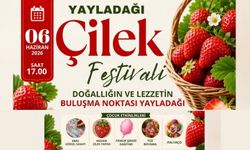 Yayladağı’nda Çilek Festivali Coşkusu Yaşanacak!