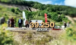 Kene ve Kokarcaya Karşı Biyolojik Mücadele!