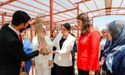 HBB’nin Su Sümbülü Projesi Yerinde İncelendi