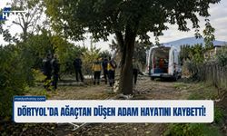 Dörtyol’da Ağaçtan Düşen Adam Hayatını Kaybetti