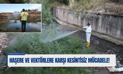Haşere ve Vektörlere Karşı Kesintisiz Mücadele!