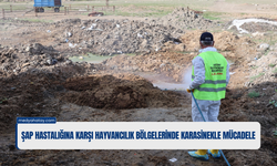 HBB’den Şap Hastalığına Karşı Mücadele