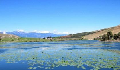 Hatay'ın Sulak Alanları Alarm Veriyor!