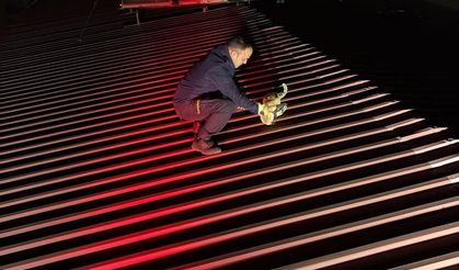 Çatıda Mahsur Kalan Kedi Kurtarıldı