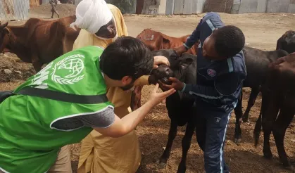 İHH’den 61 Ülkede Kurban Seferberliği