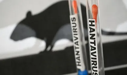 Hantavirüs Alarmı: Nasıl Bulaşır, Belirtileri Neler?