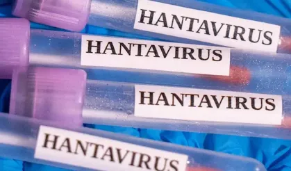DSÖ: Hantavirüs Vakalarında Artış Durdu