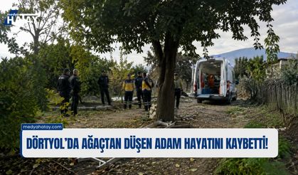 Dörtyol’da Ağaçtan Düşen Adam Hayatını Kaybetti