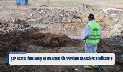 HBB’den Şap Hastalığına Karşı Mücadele