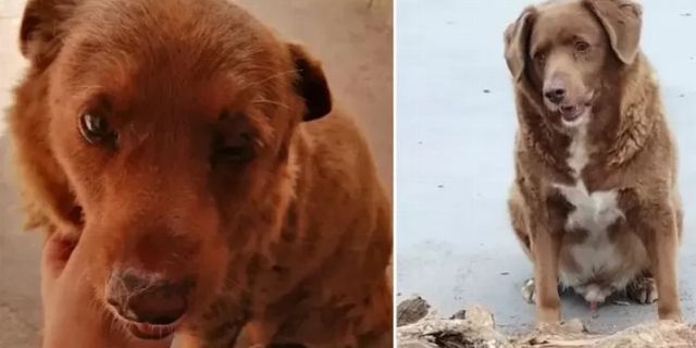Gelmiş geçmiş dünyanın en yaşlısı!