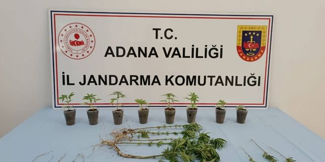 Adana'da uyuşturucu operasyonunda 7 zanlı yakalandı