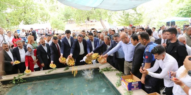Mersin'de Karacaoğlan Kayısı, Kültür ve Sanat Festivali başladı