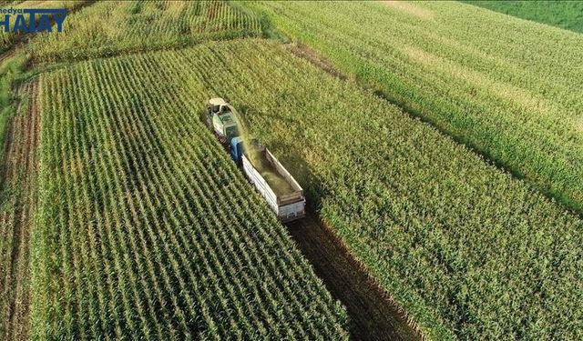 11,2 milyar mazot ve gübre desteği kartlara tanımlandı