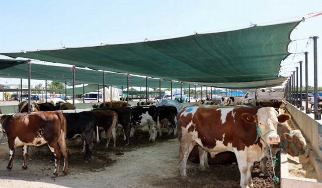 Selçuklu’da kurban satış ve kesim yerleri belli oldu