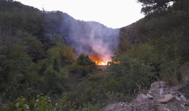 Adana'da bahçede çıkan yangın söndürüldü