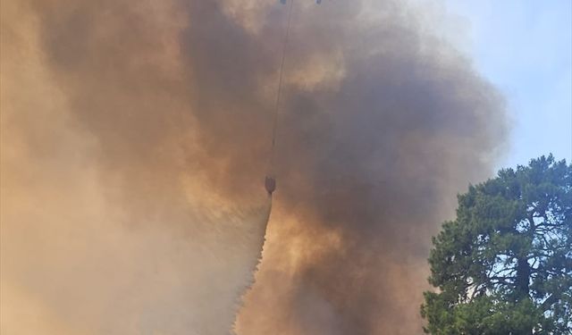 Antalya'da ormanlık alanda yangın çıktı