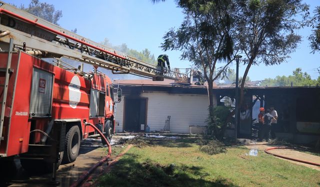 GÜNCELLEME 2 - Antalya'da ormanlık alandaki restoranda çıkan yangın kontrol altına alındı