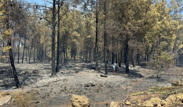 GÜNCELLEME 2 - Antalya'da yerleşim yerleri yakınında çıkan yangın kontrol altına alındı