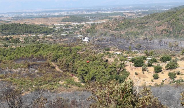 GÜNCELLEME - Antalya'da ormanlık alanda çıkan yangın kontrol altına alındı