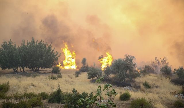 GÜNCELLEME - Antalya'da ormanlık alanda yangın çıktı