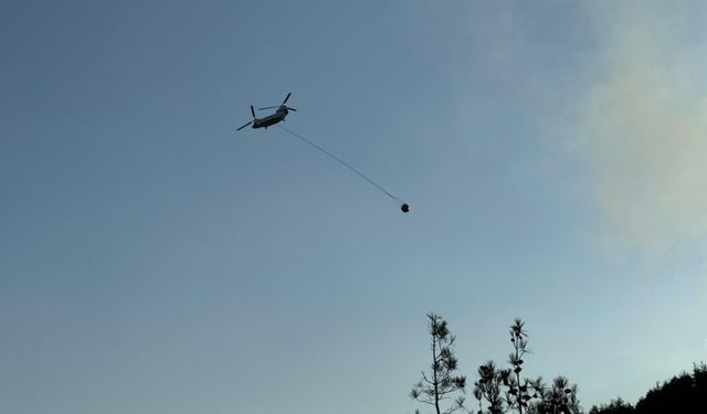 GÜNCELLEME - Kahramanmaraş'ta çıkan orman yangınına ekiplerce müdahale ediliyor