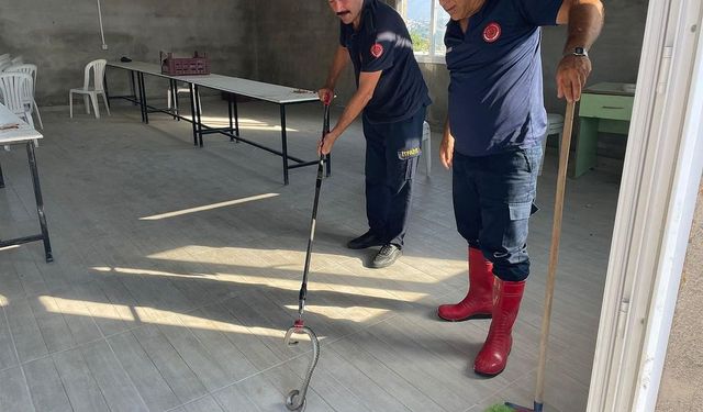 Hatay'da yemekhaneye giren yılanı itfaiye ekibi çıkarttı