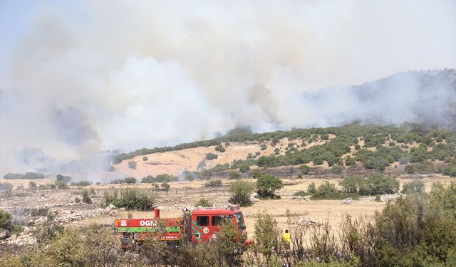 Kahramanmaraş'ta çıkan anız yangını makilik alana sıçradı