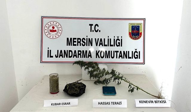 Mersin'de 1 kilogram esrar ve 188 kök Hint keneviri ele geçirildi