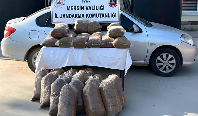 Mersin'de 310 kilogram gümrük kaçağı tütün ele geçirildi