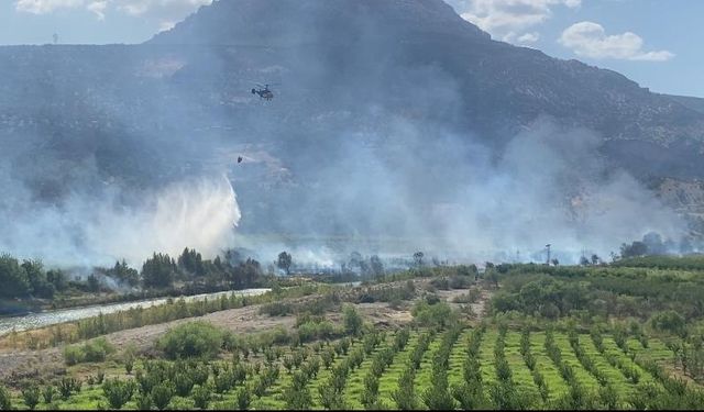 Mersin'de çıkan bahçe yangını kontrol altına alındı