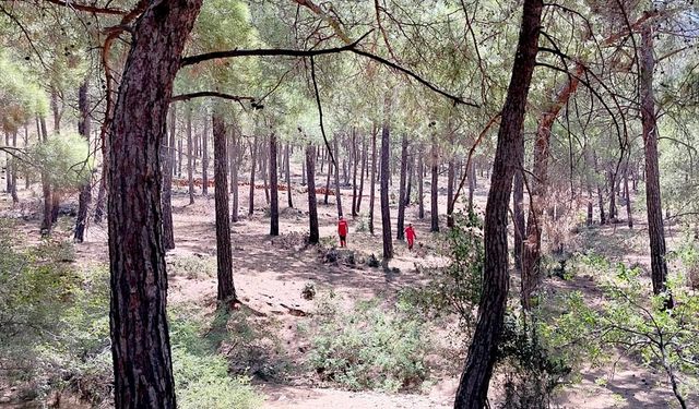 Mersin'de dün kaybolan Alzheimer hastası aranıyor