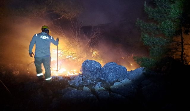 Mersin'de örtü yangını kontrol altına alındı